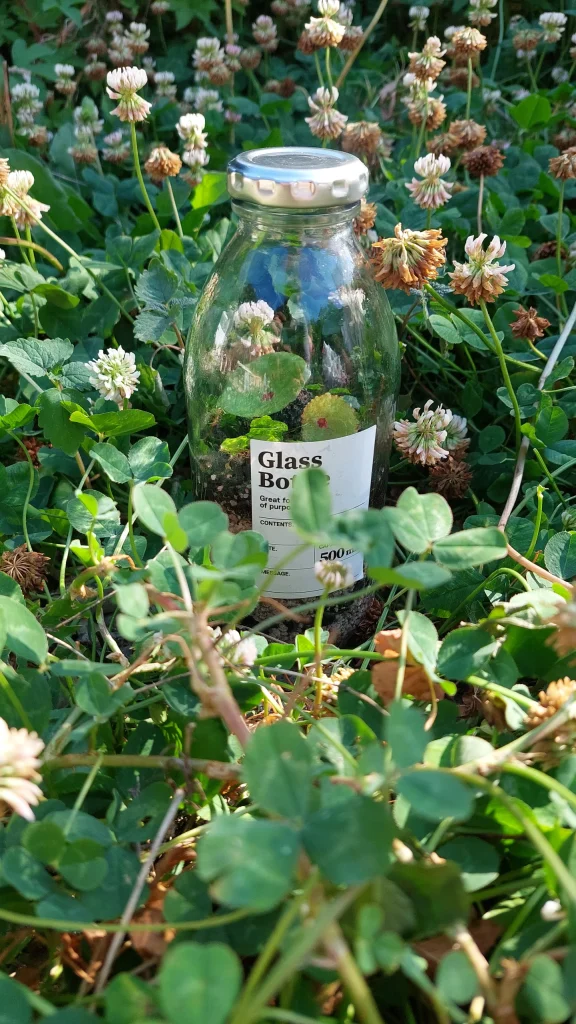 지니힐즈 테라리움